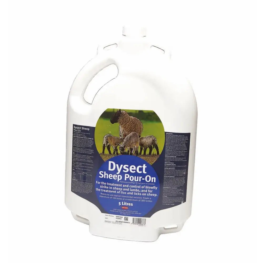 White plastic jug of dysect sheep pour with blue green sheep label for livestock treatment sheep pour product
