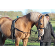 Elasticated Side Reins Mini 