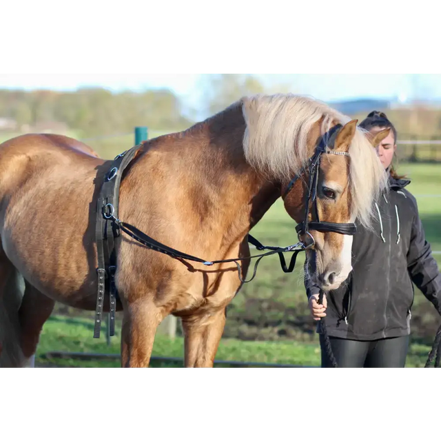 Elasticated Side Reins Mini 