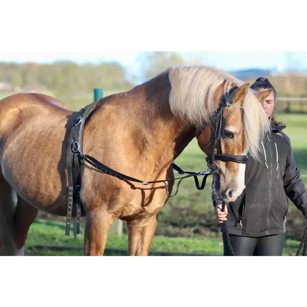 A light brown horse with a blonde mane wearing black leather elasticated side reins with trigger clips for shock absorption in sizes mini