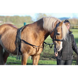A light brown horse with a blonde mane wearing black leather elasticated side reins with trigger clips for shock absorption in sizes mini