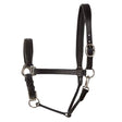 Black leather elico bremen headcollar with silver-toned metal hardware featuring chetak leather and adjustable padded brass fittings