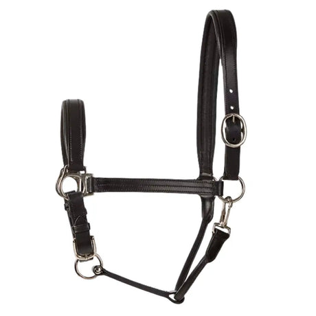 Black leather elico bremen headcollar with silver-toned metal hardware featuring chetak leather and adjustable padded brass fittings
