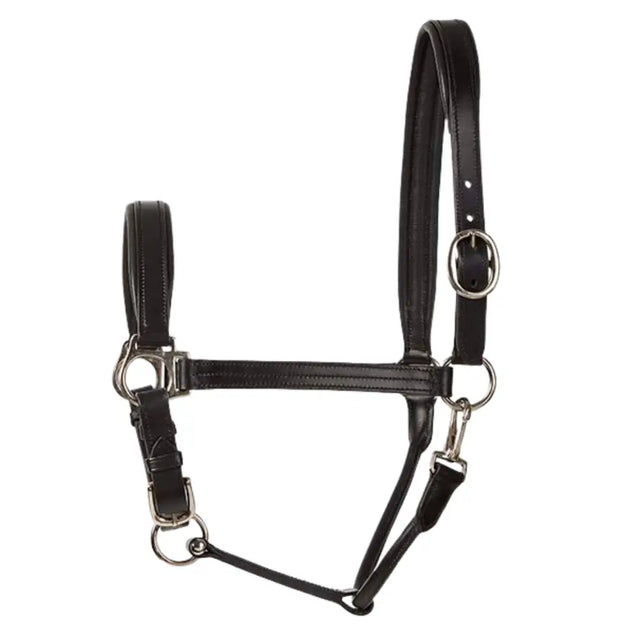 Black leather elico bremen headcollar with silver-toned metal hardware featuring chetak leather and adjustable padded brass fittings
