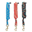 Three colorful coiled elico chichester lead rope halters with metallic hooks and black plastic handles for easy use