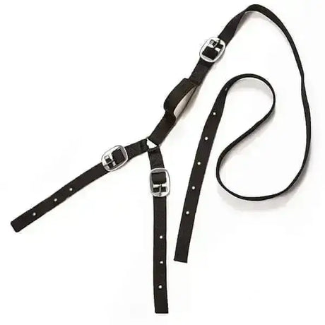 Black leather horse halter with silver buckles and adjustment holes from elico daisy reins collection
