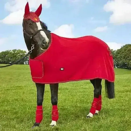 Red plush elico dartmoor fleece showing rug with matching fleece showing rugs leg wraps and decorative headpiece
