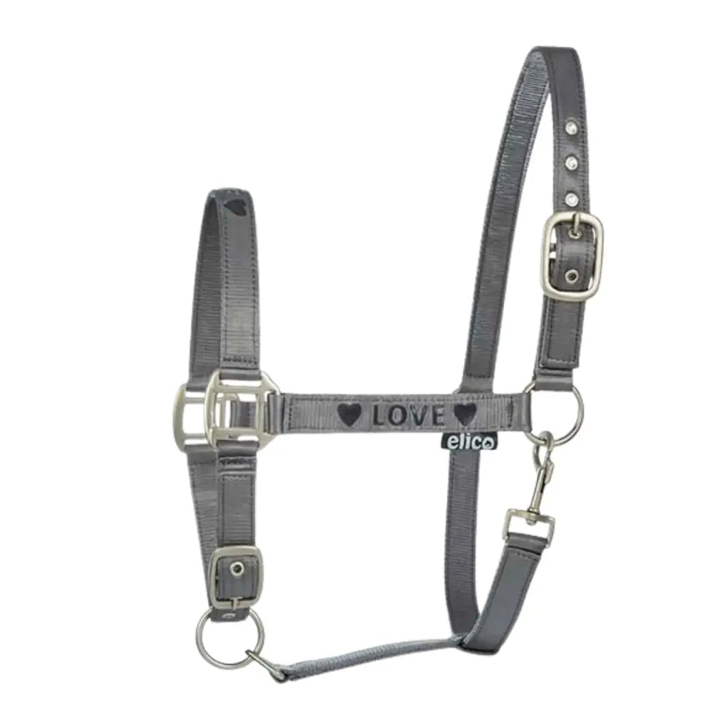 Gray leather elico grasmere headcollar with silver buckles and central strap featuring love and heart symbols