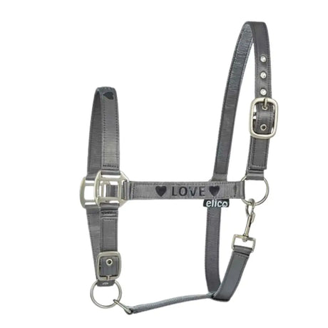 Gray leather elico grasmere headcollar with silver buckles and love strap featuring heart symbols