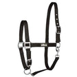 Black elico kendal headcollar with silver-toned buckles and hardware perfect for horse training and riding