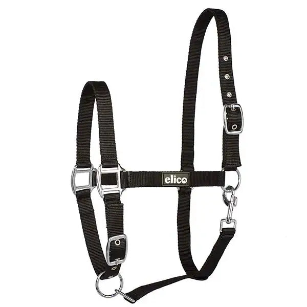 Black elico kendal headcollar with silver-toned buckles and hardware perfect for horse training and riding