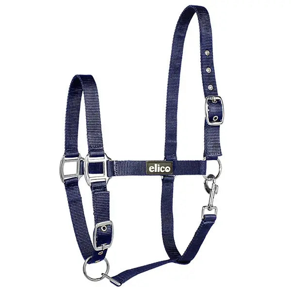 Navy blue woven nylon elico kendal headcollar with silver metal hardware and black elico brand label