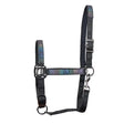 Black horse halter with iridescent blue and green patterned straps featuring elico brand name in elico ryedale headcollar