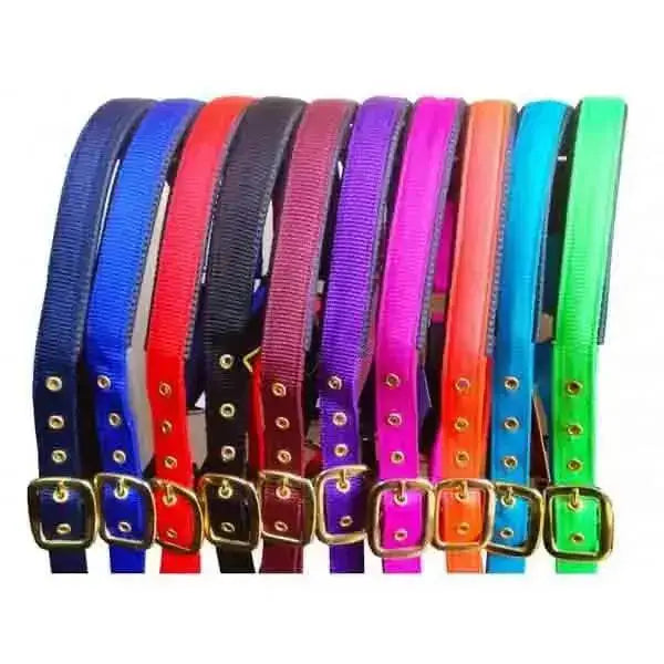 Elite Comfort Nylon Headcollars With Neoprene Padding Neon Green Pony Headcollars Barnstaple Equestrian Supplies