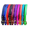 A collection of colorful elite comfort nylon headcollars with soft cushion padding and durable nylon webbing