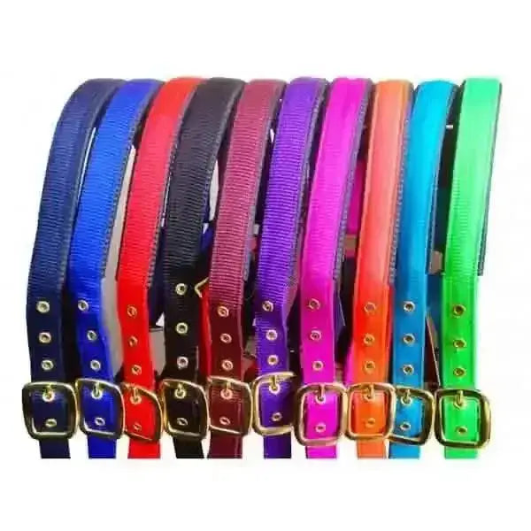 A collection of colorful elite comfort nylon headcollars with soft cushion padding and durable nylon webbing