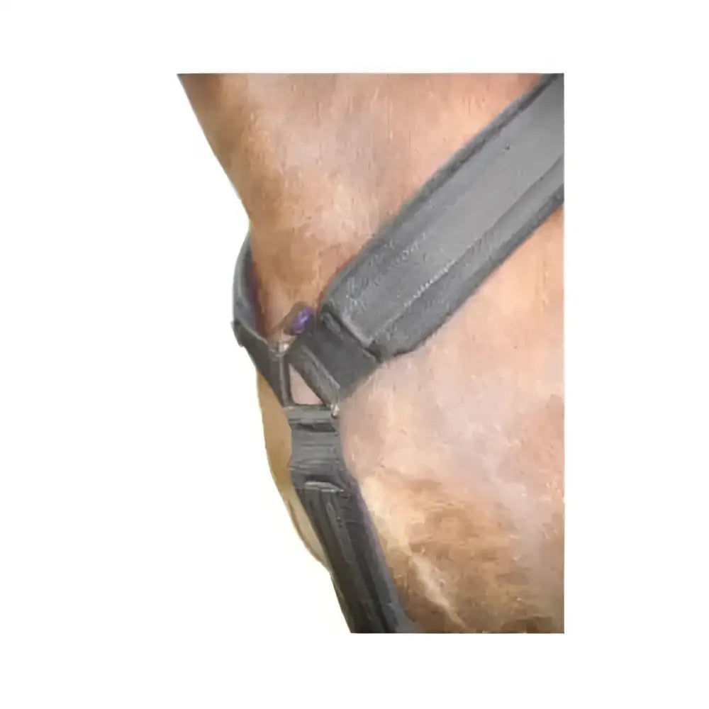 Black leather endurance breastplate with adjustable straps stainless steel buckle and padded polypads material