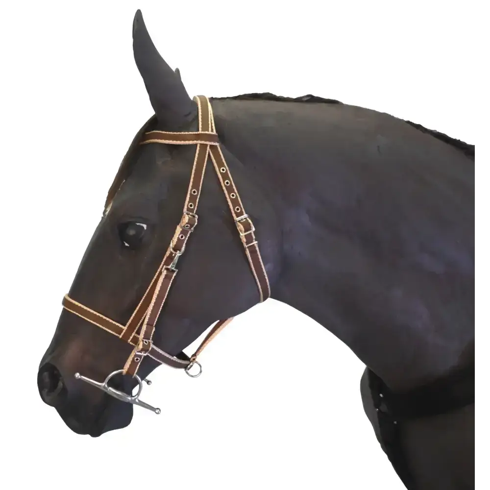 Endurance Combination Bridle Black Small Pony 