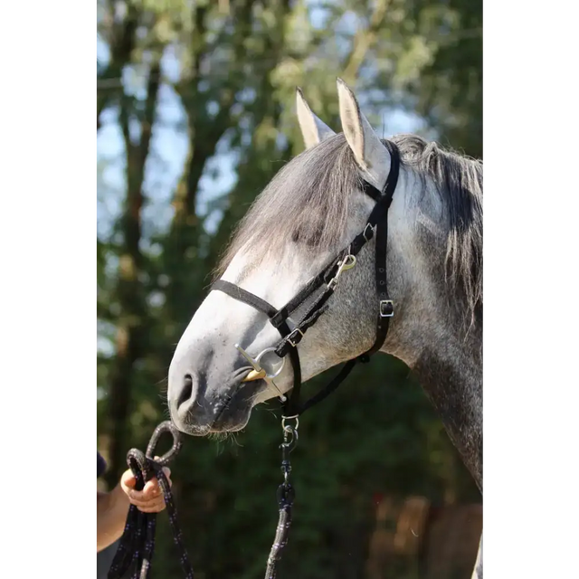 Endurance Combination Bridle Black Small Pony 