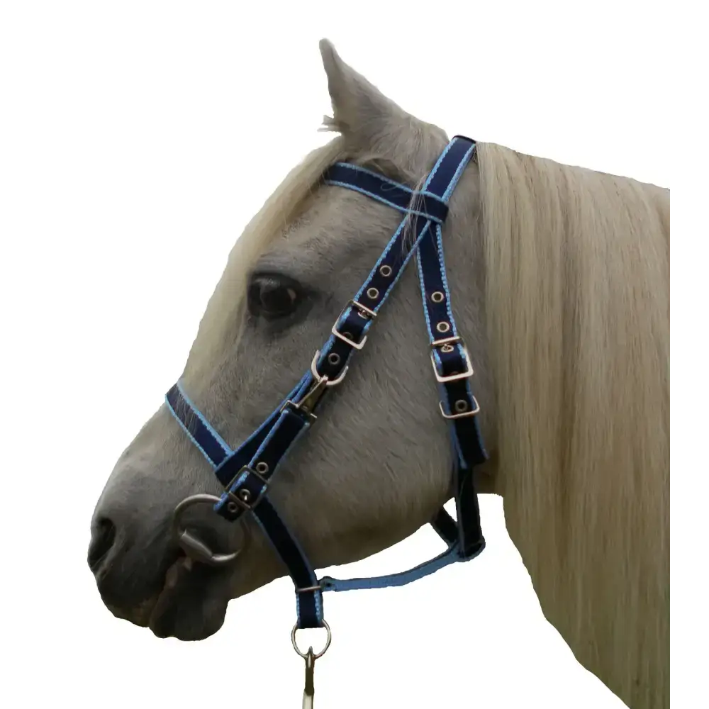 Endurance Combination Bridle Black Small Pony 