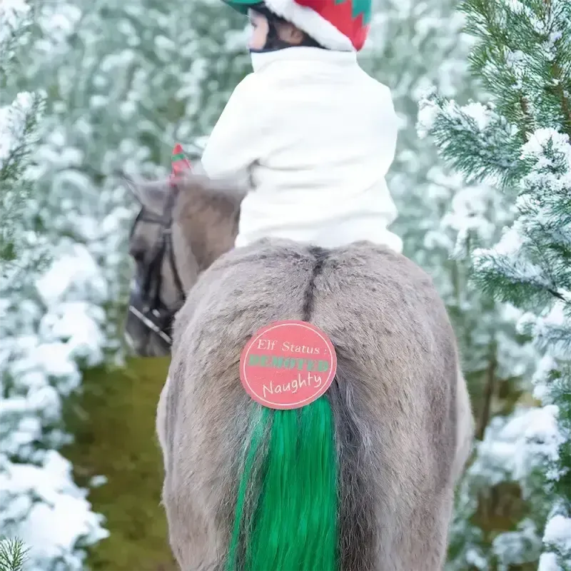 Equetech Cheeky Elf Festive Christmas Tail Tassel Green One size Tail Tassels