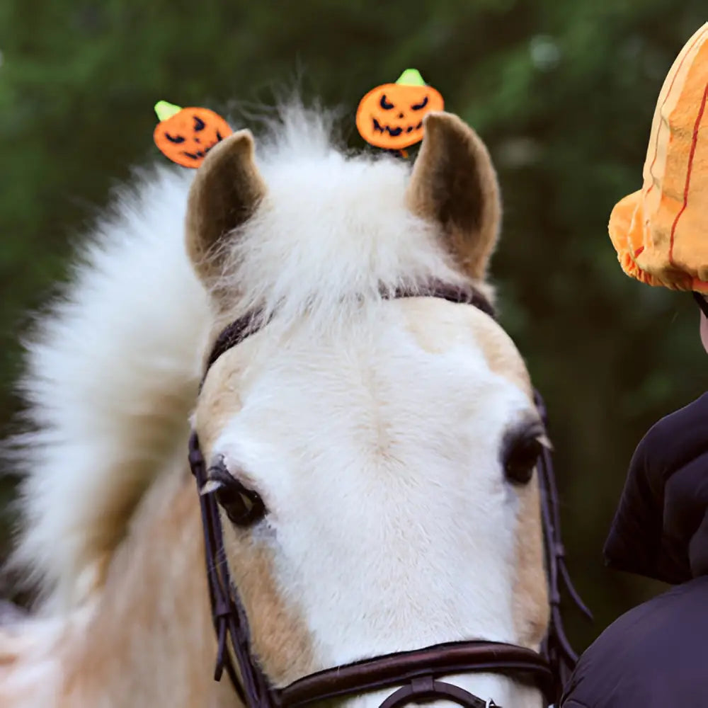 Childs Wicked Pumpkin Bridle Boppers on horse.