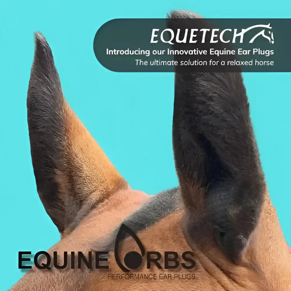 Brown horse ears with dark textured fur shown from back side paired with equetech equine orbs performance ear plugs