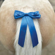 A vibrant blue satin equetech horse competition warning tail ribbon tied neatly around a fluffy dog’s tail