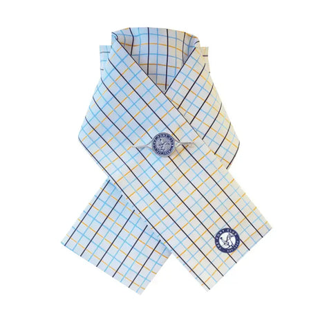 Equetech junior ready-tied cotton marcella stock in light blue and yellow check with pony club logos design
