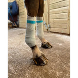 White bandages with teal stripes wrapped on horse legs showing equi-n-ice cooling bandages for icing applications