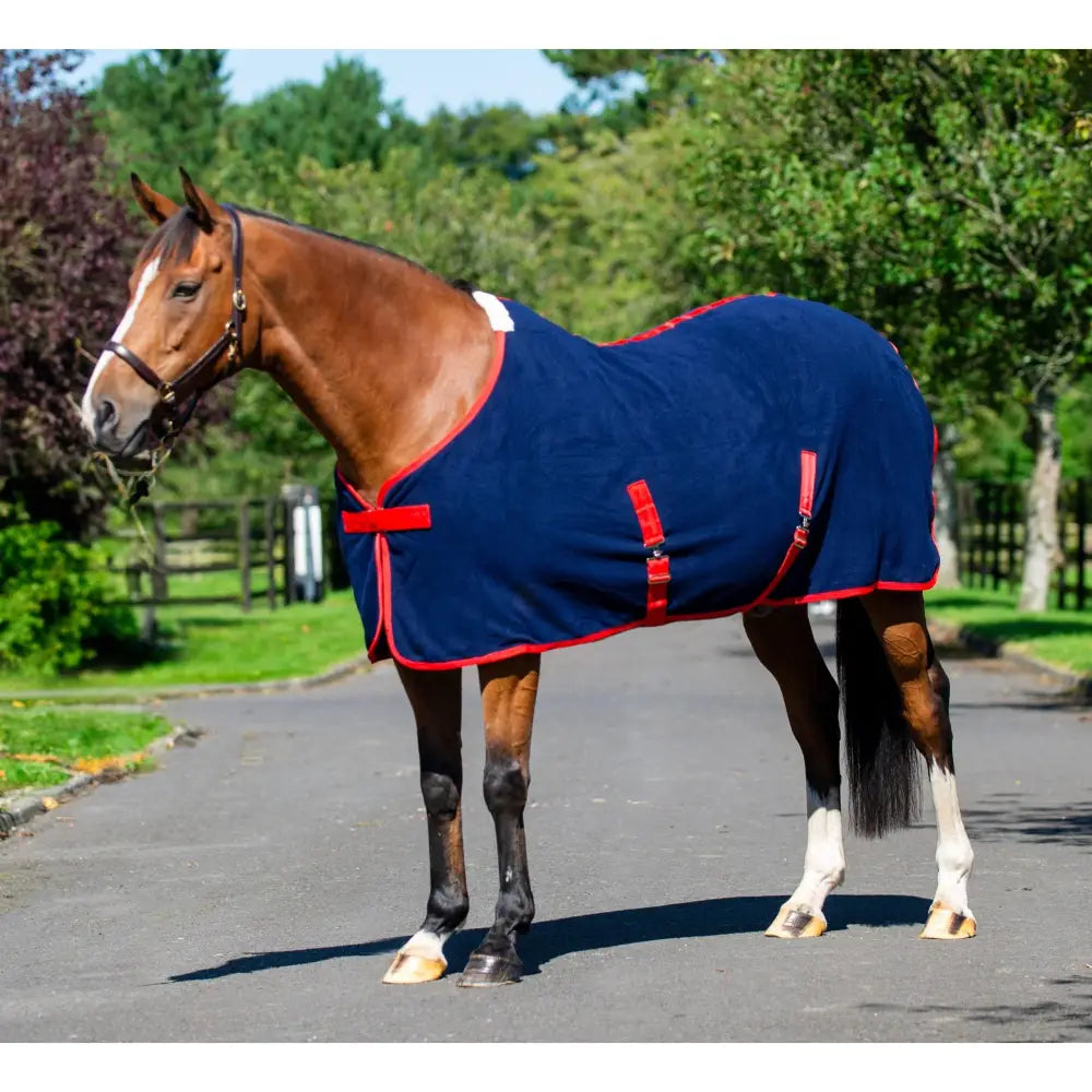 Navy blue equi-sential fleece cooler horse blanket with red trim and adjustable straps made from quality anti-pill fleece