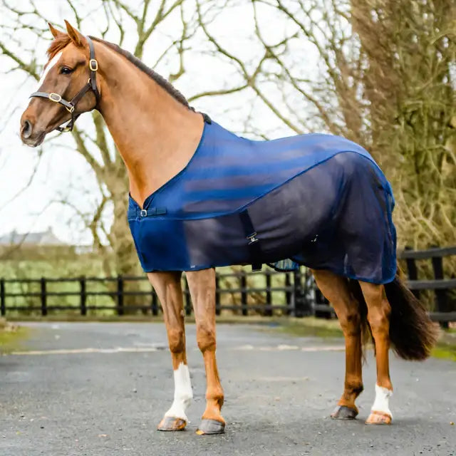 Blue mesh equi-sential net cooler horse fly sheet with black cross-over belly straps and wither protection silver buckles