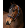 A brown horse wears a blue equi-sential nylon clip headcollar with silver buckles and a dark mane and white blaze