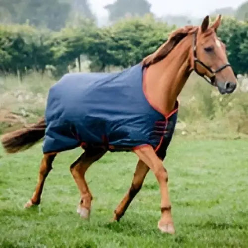 Navy blue equi-sential standard neck medium weight turnout rug 200g with red trim and zipper closure for horse warmth