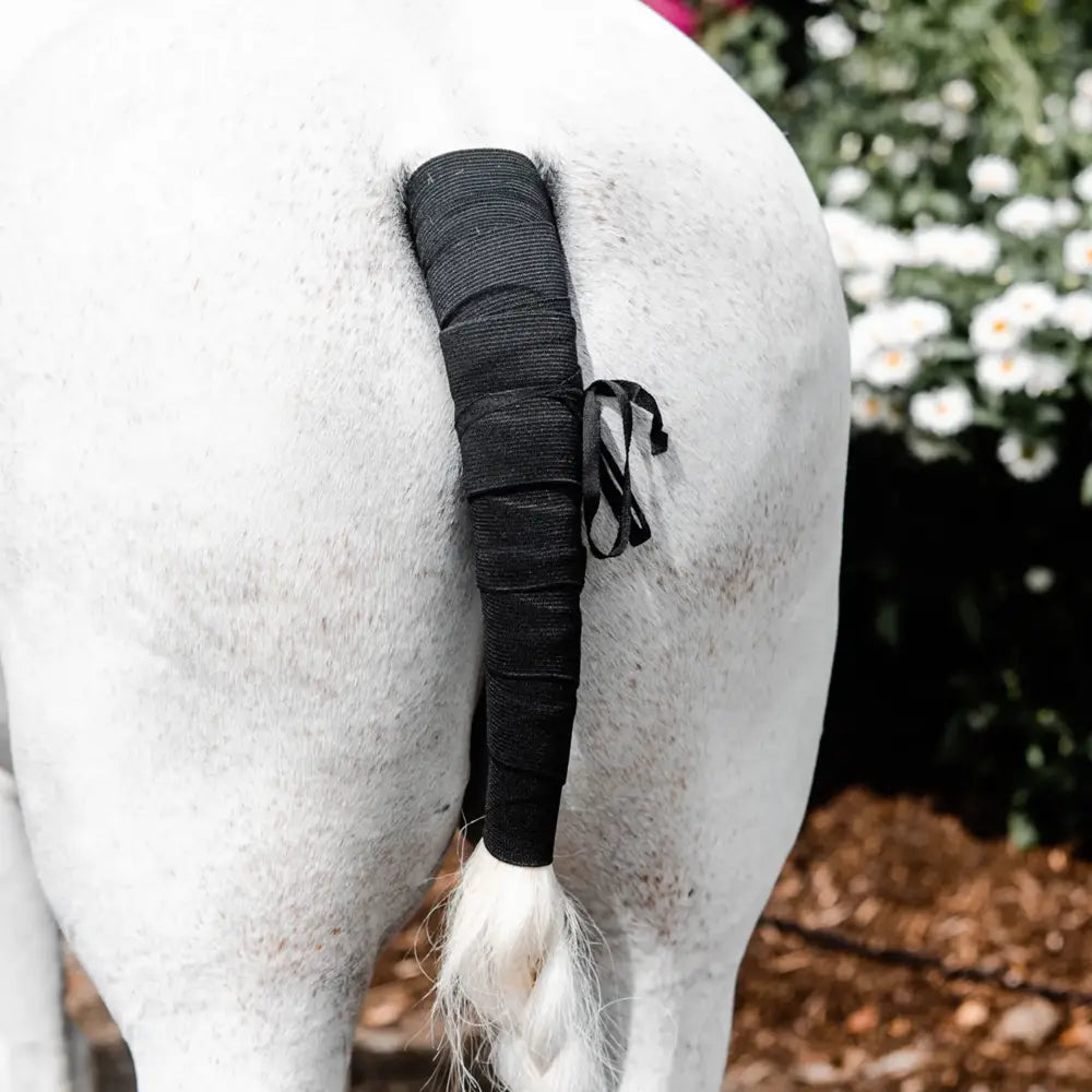 Black textured equi-sential tail bandage wrap with small black strap tied around for secure tail support
