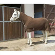 Brown equi theme polar fleece rug combo 230g with white trim and adjustable straps for horse comfort