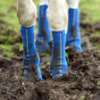 Blue equilibrium equi-chaps close contact chaps with yellow stitching covered in mud for mud fever prevention