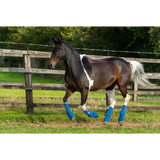 Equilibrium Equi-Chaps Close Contact Chaps Navy Small Turnout Boots