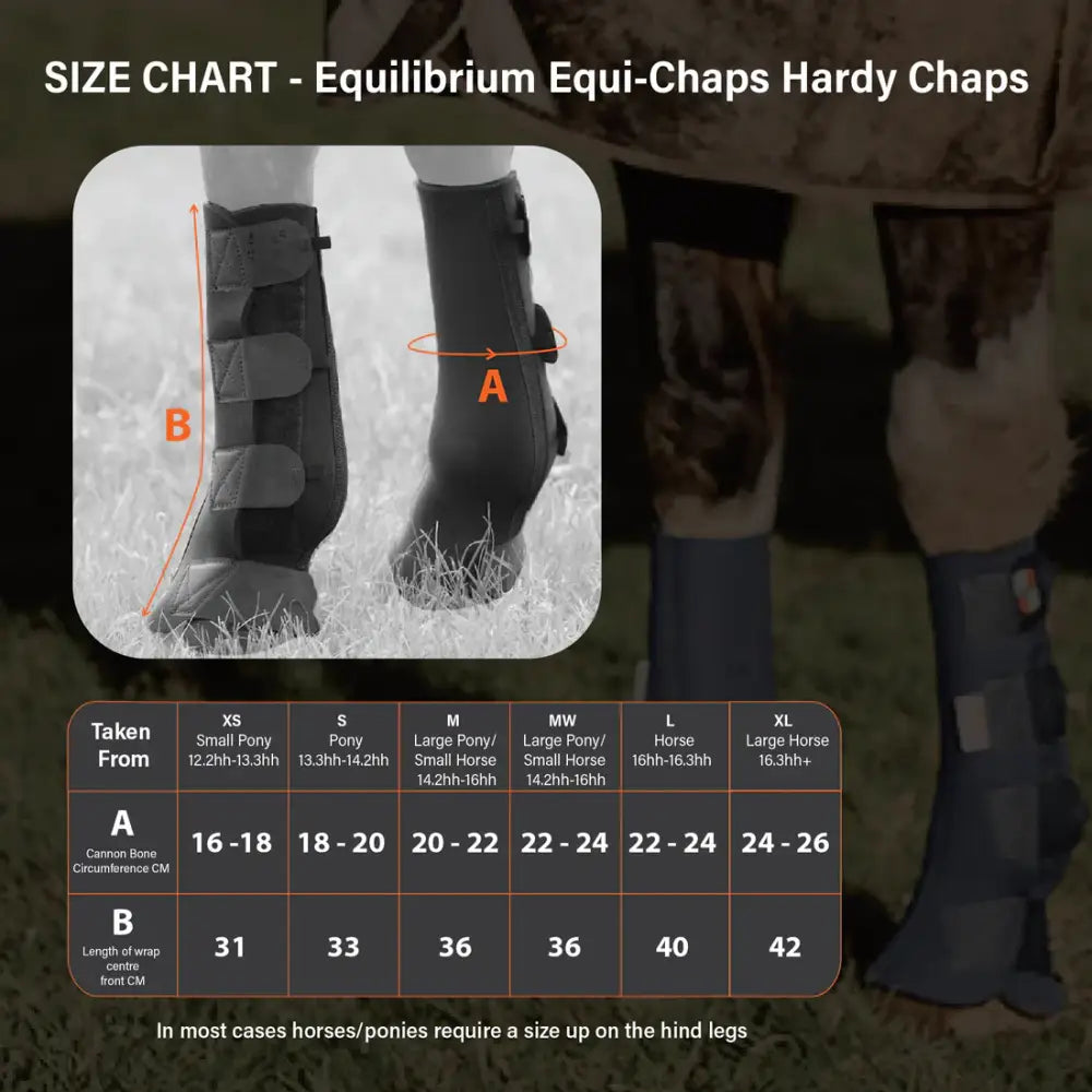Black equilibrium equi-chaps hardy chaps with padded design and adjustable straps for tough turnout protection on entire lower leg