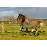 A muddy brown horse wearing teal equilibrium equi-chaps hardy chaps with blue leg wraps for tough turnout protection