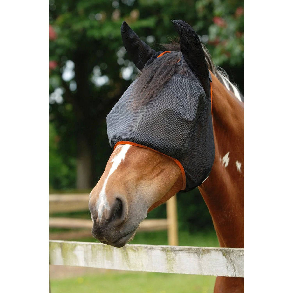 Equilibrium FIELD RELIEF Midi Fly Mask With Ears Fly Masks Small Pony Black / Orange Binding Barnstaple Equestrian Supplies
