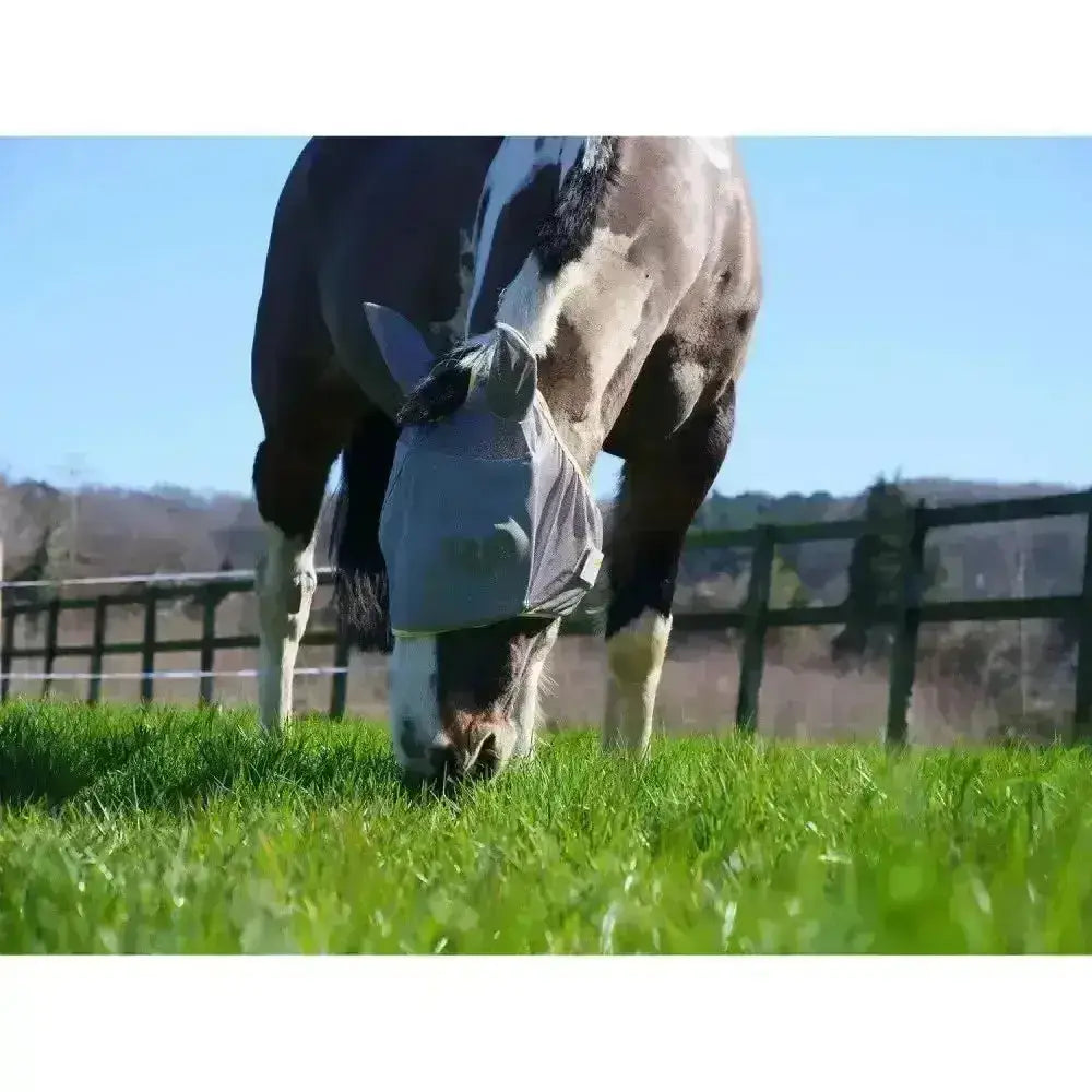 Gray mesh field relief midi fly mask with ears by equilibrium for horse eye protection in the field