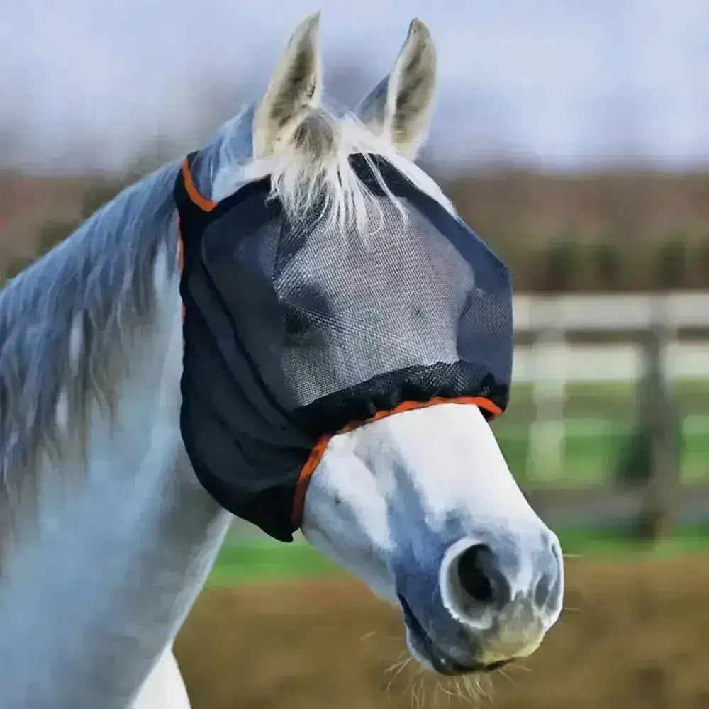 Gray horse wearing black mesh equilibrium field relief midi fly mask with orange trim without ears
