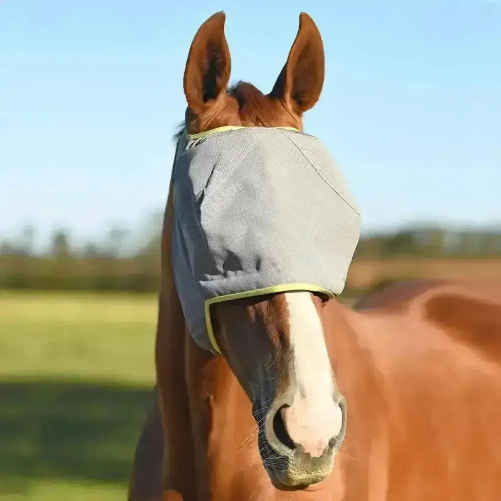 Brown horse wearing gray mesh equilibrium field relief midi fly mask with yellow trim without ears