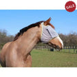 Equilibrium FIELD RELIEF Midi Fly Mask Without Ears Xx Small Black / Orange Trim Fly Masks