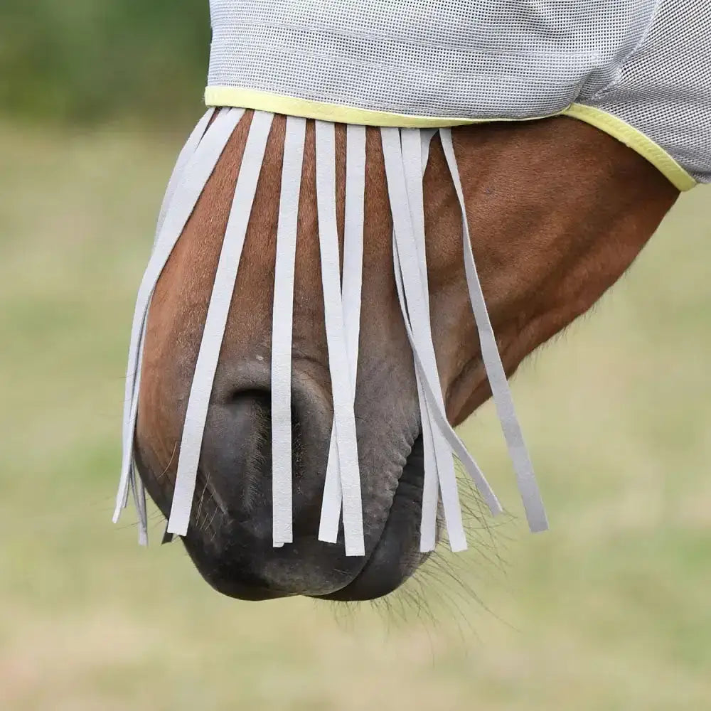 A light gray mesh equilibrium field relief muzzle with yellow trim and white relief muzzle fringe over the muzzle