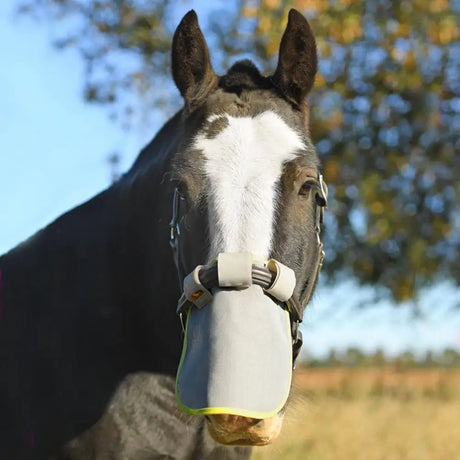 Gray and white horse wearing equilibrium field relief muzzle with neon yellow trim for sun protection in the field