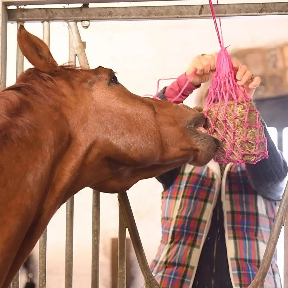 Equilibrium Munch Nets Red Horse Licks & Treats Barnstaple Equestrian Supplies