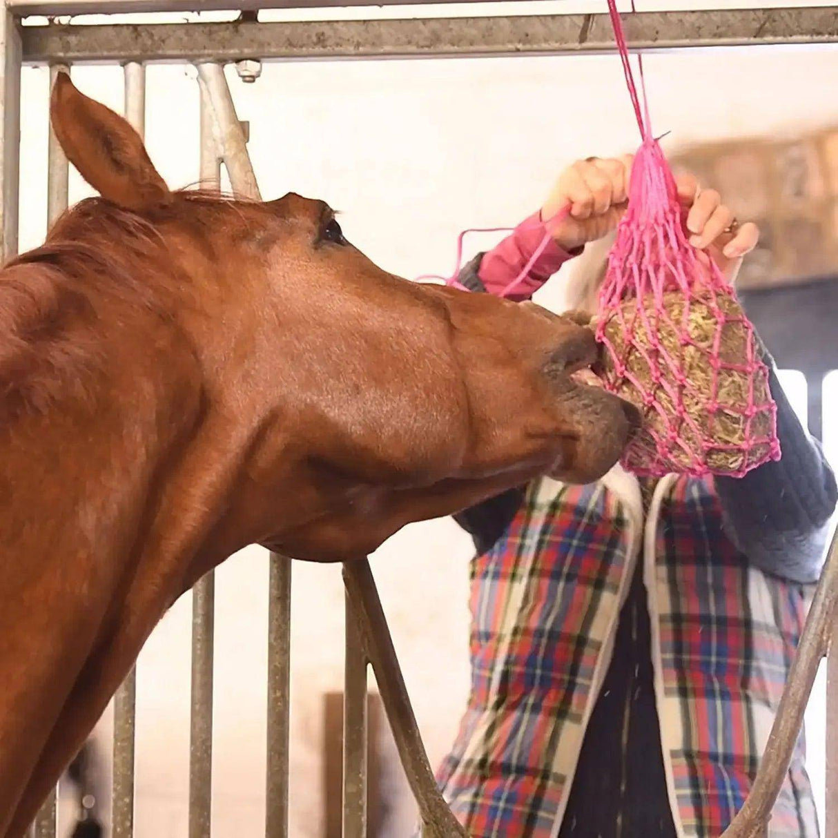 Equilibrium Munch Nets Horse Licks Treats and Toys Pink Barnstaple Equestrian Supplies