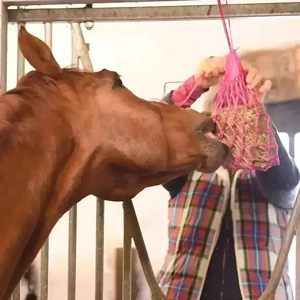 Pink mesh small hole net horse feed bag from equilibrium munch nets for slow munch snacks delivery